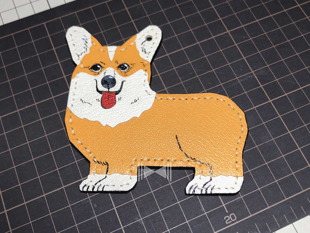 corgi_front.jpg