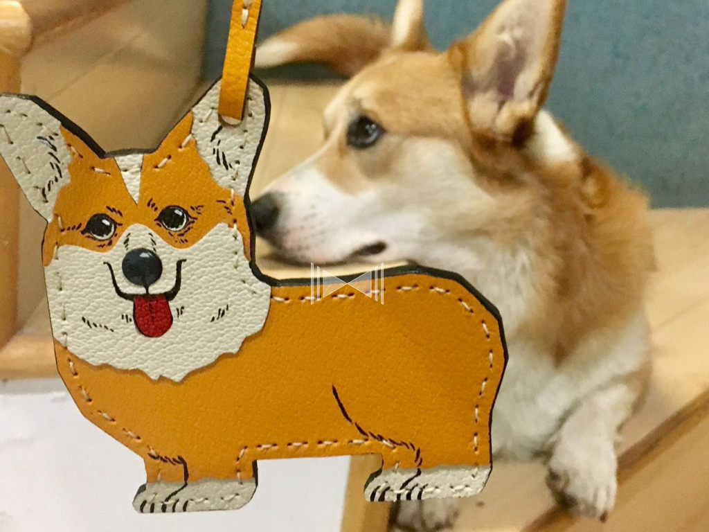 corgi_buyershow.jpg