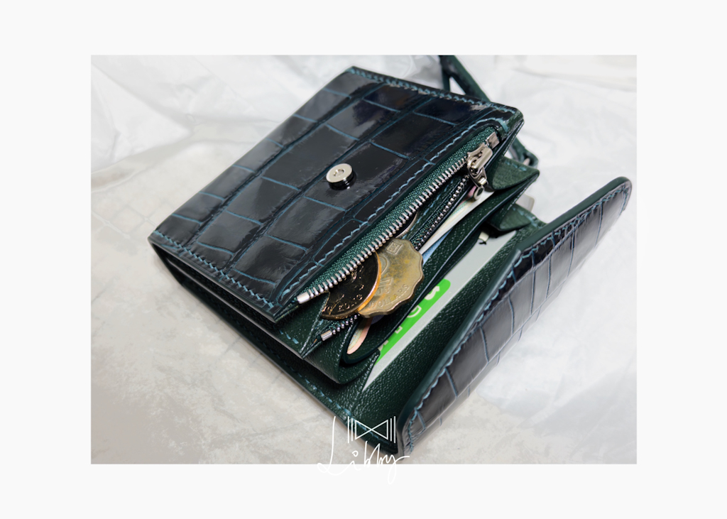 IDG_20260104_204316_475_SnapseedCopy.jpg IDG_20260104_204316_475_SnapseedCopy.jpg